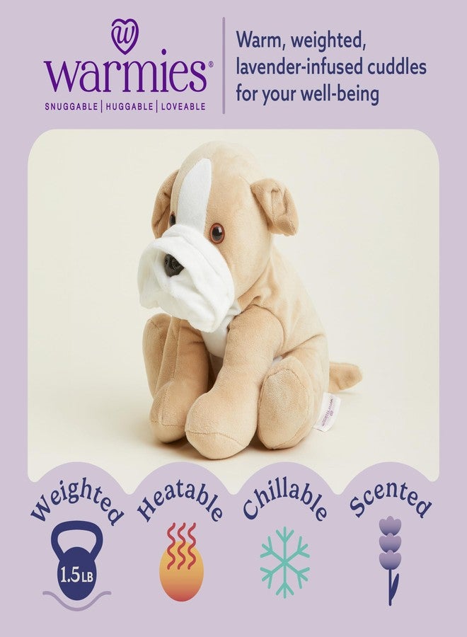 warmies Microwavable & Weighted Stuffed Animals, Bull Dog - Heated Stuffed Animal Plushie for Warmth & Comfort - Cute Soft Plush Toys for Adults & Children (Boys, Girls, Babies & Toddlers) - Image 2
